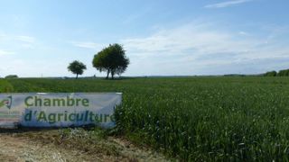 © A.Cassigneul/GFA © A.Cassigneul/GFA